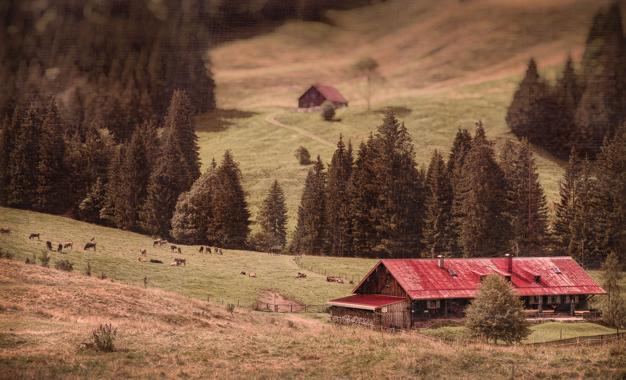 The old alpine cabin